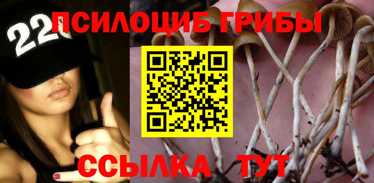 Галлюциногенные грибы Psilocybe Воркута